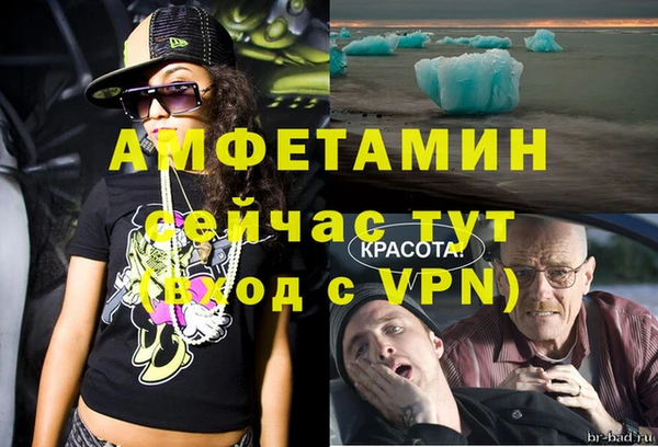 гидропоника Дмитриев