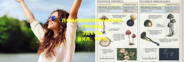 дистиллят марихуана Дмитров