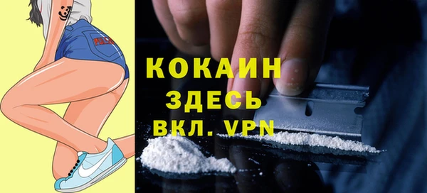 гидропоника Дмитриев