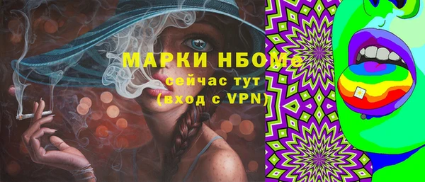 гидропоника Дмитриев