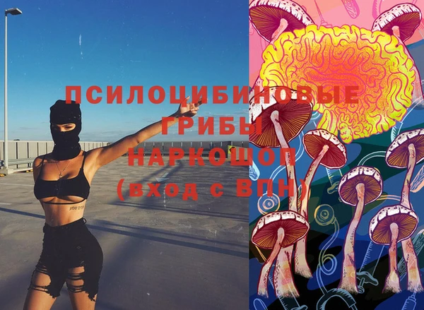 спайс Дмитровск